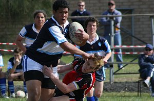 Endeavour SHS Vs Matraville SHS - Buckley Shield Clash (Photo's : ourfooty media) 