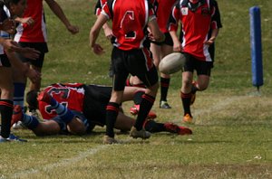 Endeavour SHS Vs Matraville SHS - Buckley Shield Clash (Photo's : ourfooty media) 