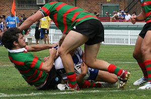 South Sydney RABBITOH'S v Canterbury Bankstown Bulldogs SG Ball Rnd 1 Action (Photo's : OurFootyMedia)