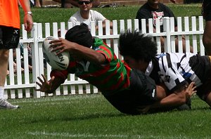 Souths Rabbitohs v Wests MAGPIES HMC trial (Photo : OurFootyMedia 