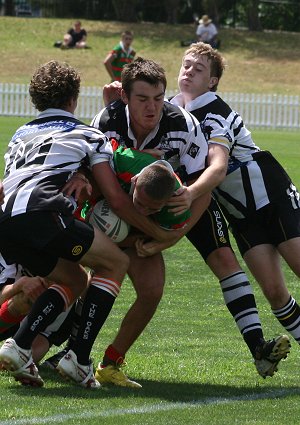 Souths Rabbitohs v Wests MAGPIES HMC trial (Photo : OurFootyMedia 