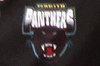 Penrith Panthers SG Ball