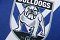 Canterbury Bulldogs