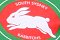 South Sydney Rabbitoh's junior reps