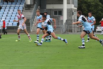 Cronulla SHARKS v St. George DRAGONS Mattys Cup Rnd 1 @ Shark Park ACTION (Photo : steve monty / OurFootyMedia) 