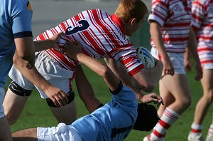 ARRIVE aLIVE CUP - Christian Brother's Lewisham v Marist Brother's Kogarah (photo : ourfooty media)