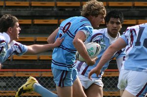 Hills SHS v St. Greg's AaC @ Leichhardt Oval (Photo : ourfootymedia)