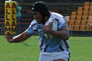 Hills SHS v St. Greg's AaC @ Leichhardt Oval (Photo : ourfootymedia)