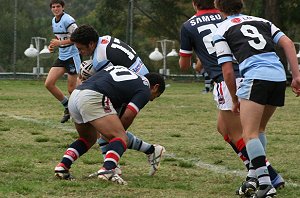 Rooster v Sharks Matty's Cup action (Photo : ourfootymedia)