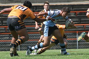 Cronulla's Joel Tubbs smashes his way forward (Photo : ourfooty media) 