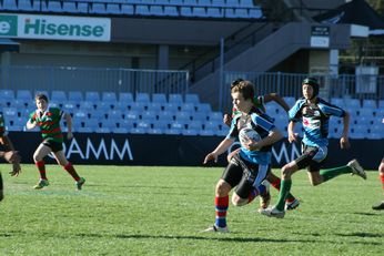 Cronulla SHARKS Academy Under 13's v South Sydney Junior Bunnies @ Shark Park (Photo : OurFootyMedia) 