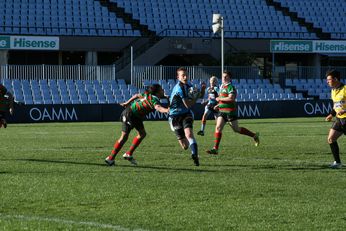 Cronulla SHARKS Academy Under 13's v South Sydney Junior Bunnies @ Shark Park (Photo : OurFootyMedia) 