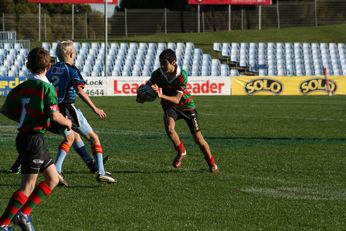 Cronulla SHARKS Academy Under 13's v South Sydney Junior Bunnies @ Shark Park (Photo : OurFootyMedia) 