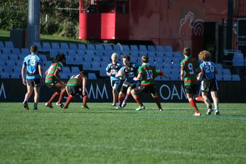 Cronulla SHARKS Academy Under 13's v South Sydney Junior Bunnies @ Shark Park (Photo : OurFootyMedia) 