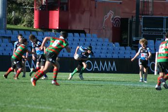 Cronulla SHARKS Academy Under 13's v South Sydney Junior Bunnies @ Shark Park (Photo : OurFootyMedia) 