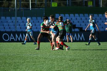 Cronulla SHARKS Academy Under 13's v South Sydney Junior Bunnies @ Shark Park (Photo : OurFootyMedia) 