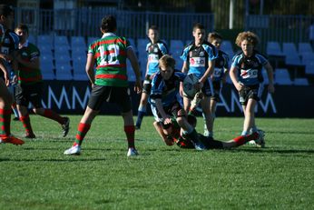 Cronulla SHARKS Academy Under 13's v South Sydney Junior Bunnies @ Shark Park (Photo : OurFootyMedia) 