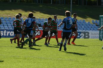 Cronulla SHARKS Academy Under 13's v South Sydney Junior Bunnies @ Shark Park (Photo : OurFootyMedia) 