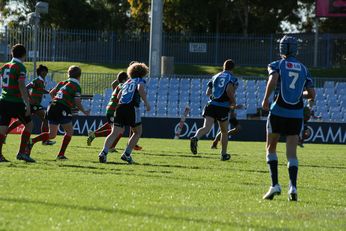 Cronulla SHARKS Academy Under 13's v South Sydney Junior Bunnies @ Shark Park (Photo : OurFootyMedia) 