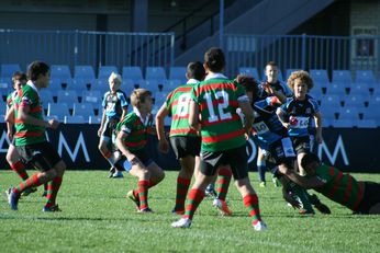 Cronulla SHARKS Academy Under 13's v South Sydney Junior Bunnies @ Shark Park (Photo : OurFootyMedia) 