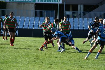 Cronulla SHARKS Academy Under 13's v South Sydney Junior Bunnies @ Shark Park (Photo : OurFootyMedia) 