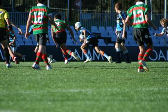 Cronulla SHARKS Academy Under 13's v South Sydney Junior Bunnies @ Shark Park (Photo : OurFootyMedia) 