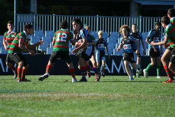 Cronulla SHARKS Academy Under 13's v South Sydney Junior Bunnies @ Shark Park (Photo : OurFootyMedia) 