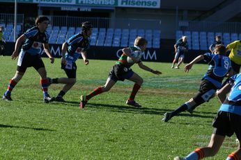 Cronulla SHARKS Academy Under 13's v South Sydney Junior Bunnies @ Shark Park (Photo : OurFootyMedia) 