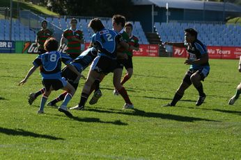 Cronulla SHARKS Academy Under 14's v South Sydney Junior Bunnies @ Shark Park (Photo : OurFootyMedia) 