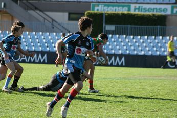 Cronulla SHARKS Academy Under 14's v South Sydney Junior Bunnies @ Shark Park (Photo : OurFootyMedia) 