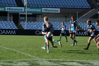 Cronulla SHARKS Academy Under 14's v South Sydney Junior Bunnies @ Shark Park (Photo : OurFootyMedia) 