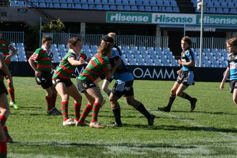 Cronulla SHARKS Academy Under 14's v South Sydney Junior Bunnies @ Shark Park (Photo : OurFootyMedia) 