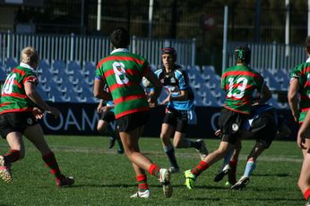 Cronulla SHARKS Academy Under 14's v South Sydney Junior Bunnies @ Shark Park (Photo : OurFootyMedia) 