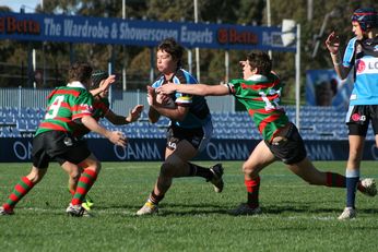 Cronulla SHARKS Academy Under 14's v South Sydney Junior Bunnies @ Shark Park (Photo : OurFootyMedia) 