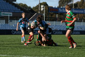 Cronulla SHARKS Academy Under 14's v South Sydney Junior Bunnies @ Shark Park (Photo : OurFootyMedia) 