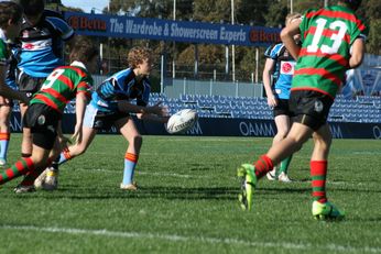 Cronulla SHARKS Academy Under 14's v South Sydney Junior Bunnies @ Shark Park (Photo : OurFootyMedia) 