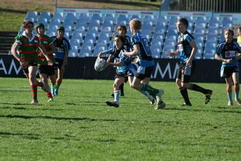 Cronulla SHARKS Academy Under 14's v South Sydney Junior Bunnies @ Shark Park (Photo : OurFootyMedia) 