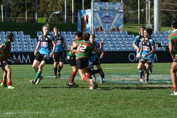 Cronulla SHARKS Academy Under 14's v South Sydney Junior Bunnies @ Shark Park (Photo : OurFootyMedia) 