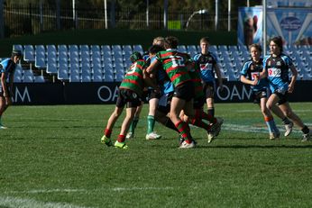 Cronulla SHARKS Academy Under 14's v South Sydney Junior Bunnies @ Shark Park (Photo : OurFootyMedia) 