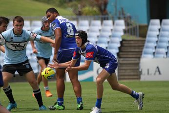 NSWRL Harold Matthews Cup 2016 TRIAL Cronulla - Sutherland Sharks v Canterbury - Bankstown BULLDOGS 2nd Half Action (Photo : steve montgomery / OurFootyTeam.com)