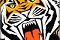 Balmain Tigers