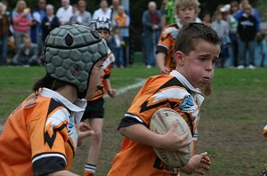 Yarrawarra Tigers & De La Salle both deserved to win, but...