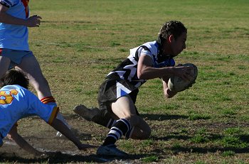 Try scoring machine Stacey Morelli opens the Sharks score with a fine try ( Photo : ourfooty media) 