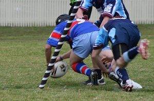 Try time to the Engadine Dragons 