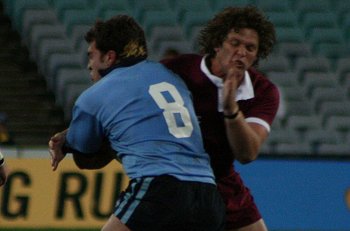 nsw vs qld u17's