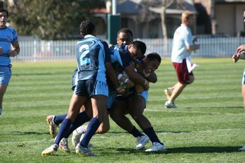 MATRAVILLE SHS v St. GREG'S COLLEGE - ARL SCHOOLBOYS CUP action (Photo : OurFootyMedia) 