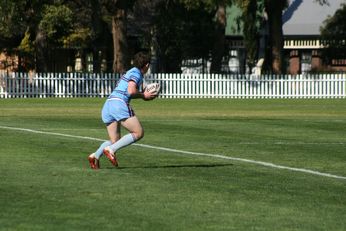 MATRAVILLE SHS v St. GREG'S COLLEGE - ARL SCHOOLBOYS CUP action (Photo : OurFootyMedia) 