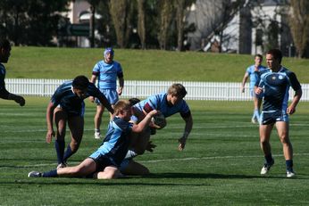 MATRAVILLE SHS v St. GREG'S COLLEGE - ARL SCHOOLBOYS CUP action (Photo : OurFootyMedia) 