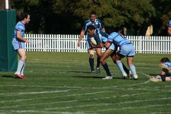 MATRAVILLE SHS v St. GREG'S COLLEGE - ARL SCHOOLBOYS CUP action (Photo : OurFootyMedia) 