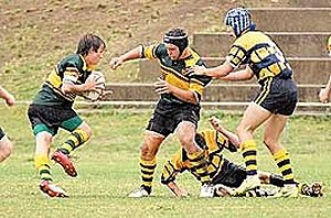 Farrer MAHS into NSW CHS Buckley Shield Grand Final